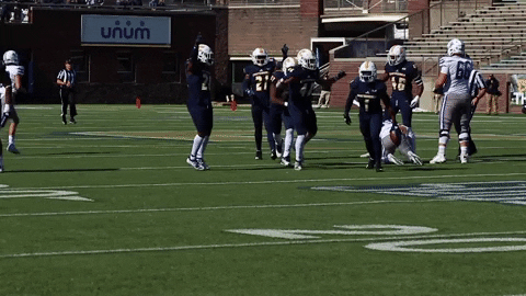 Gomocs GIF by Chattanooga Mocs