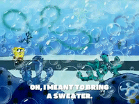 season 5 new digs GIF by SpongeBob SquarePants