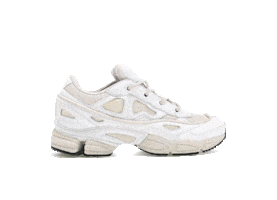 raf simons adidas Sticker by COLORS Sneakers