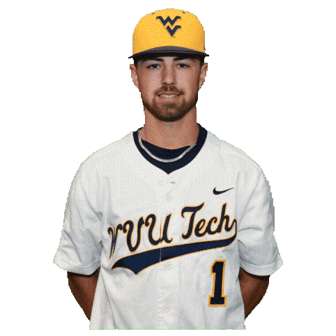 Baseball Cole Brown Sticker by WVU Tech Golden Bears