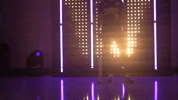 Washington Huskies Softball GIF by NCAA Championships