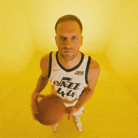 Bojan Bogdanovic Sport GIF by Utah Jazz