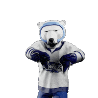 Hockey Hokej Sticker by Tipsport extraliga