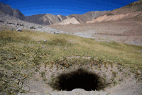 groundhog day lol gif GIF by Trolli