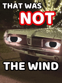 GOATFEVER cougar that was not the wind mercury cougar noahscougar GIF