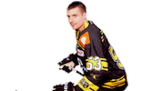 Celebration Alex Sticker by Krefeld Pinguine