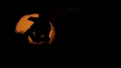 Trick Or Treat Meme GIF by Robert E Blackmon