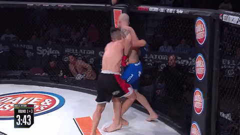 GIF by Bellator