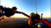 AlbatrosFallschirmsport sport fun cool hamburg GIF