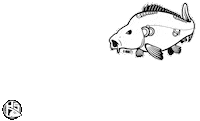 Fishing Carp Sticker by Hotspot Design