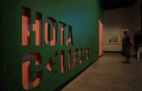 GIF by HOTA