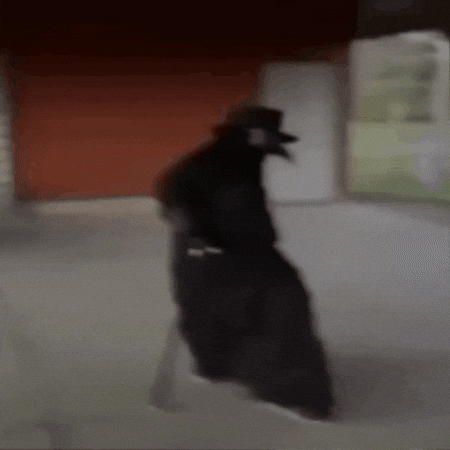 Buke_Cartel giphygifmaker GIF