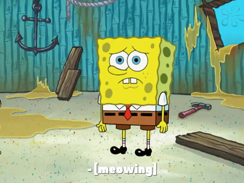 season 8 GIF by SpongeBob SquarePants
