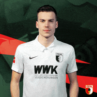 Bundesliga Thumbs Up GIF by FC Augsburg 1907