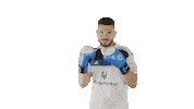 Football Bundesliga Sticker by HSV