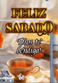 Amigos Flores GIF by Murcianys LLC