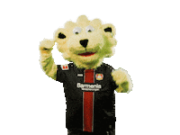 soccer Sticker by Bayer 04 Leverkusen
