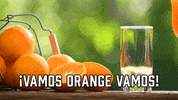 College Football Orange GIF by Sealed With A GIF