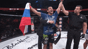 GIF by Bellator