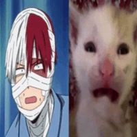 Boku No Hero Academia Shock GIF