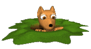 Dog Looking Around Sticker