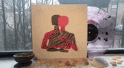 sub pop vinyl GIF by Sub Pop Records