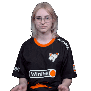 The Bears Esports Sticker by Virtus.pro