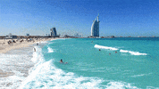 GIF by Visit Dubai