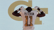 Georgia Tech Football Sport GIF by Georgia Tech Yellow Jackets