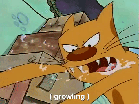 nicksplat GIF