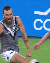Australian Football League GIF by Port Adelaide FC