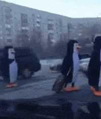 on the road GIF