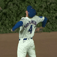 Chicago Cubs Baseball GIF