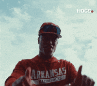 Baseball L GIF by Hogs+