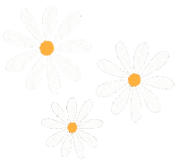Flower Daisy Sticker