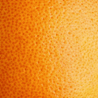 Berry Blueberry GIF by BerryWorld