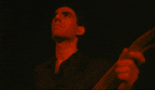 nouhisnomad nyc bass nomad darius GIF