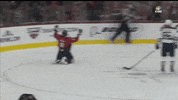 hockey win GIF by Capitals
