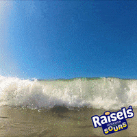 raisels fruit splash GIF