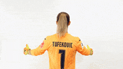 1 GIF by TSG Hoffenheim