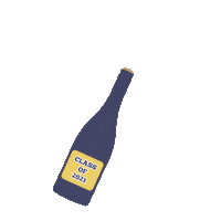 Class Of 2021 Grads Sticker