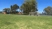 sssaam goal elimination justinwinter GIF