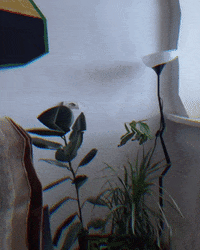 Art Augment GIF by Aleksey Efremov