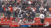 Nfl Pro Bowl Football GIF by NFL