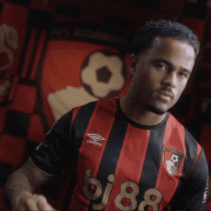 Cant Hear You Premier League GIF by AFC Bournemouth