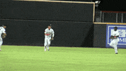 Happy Sport GIF by Fayetteville Woodpeckers