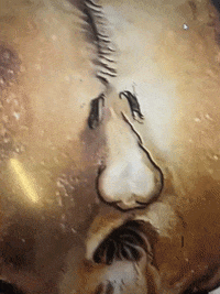 Performance Walking Bread GIF by Alex Boya