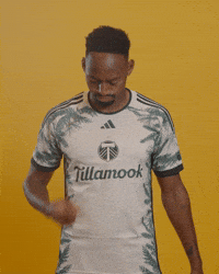 Mls Portland GIF by Timbers