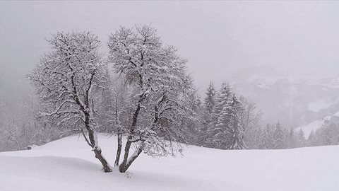 cold snow GIF by Jerology