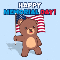 Teddy Bear Usa GIF by BEARISH